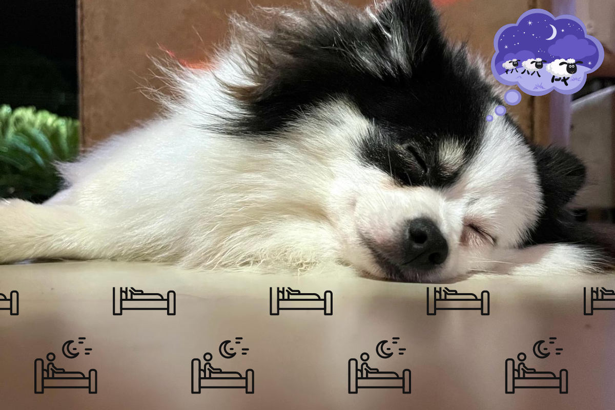 melhore a qualidade do seu sono